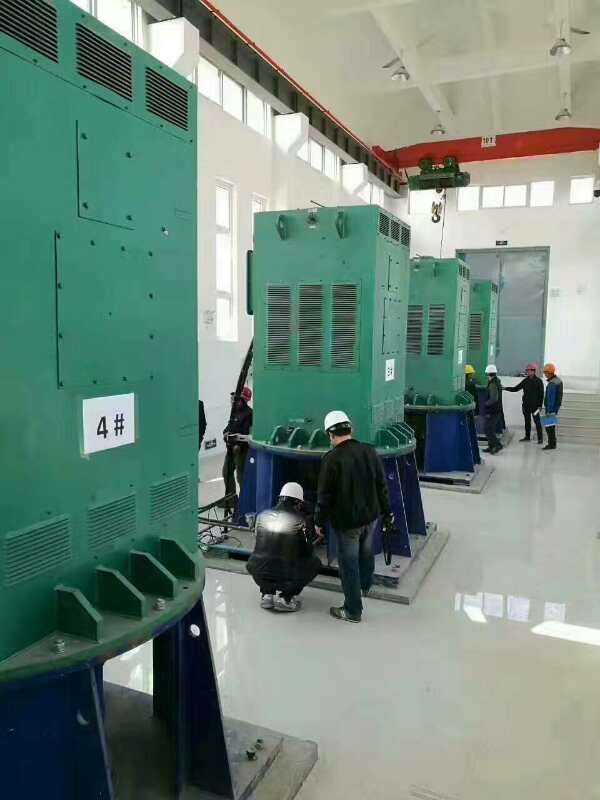 鄂城某污水处理厂使用我厂的立式高压电机安装现场