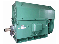 鄂城Y系列6KV高压电机